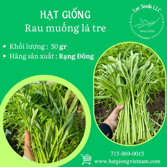 Rau muống lá tre RADO 12 - GÓI 50 GRAM