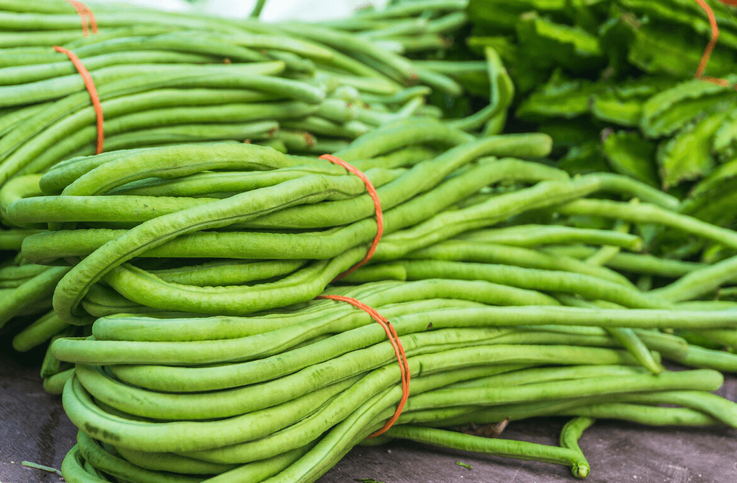 Hạt Giống Đậu Đũa Xanh - Mix Chiang Bean [ JUIJIA - Thái Lan ]