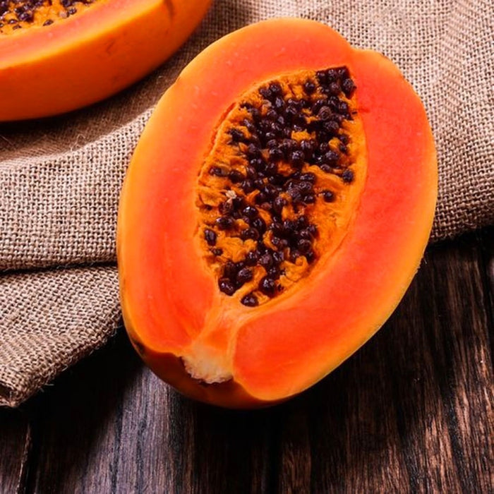 Đu Đủ Siêu Lùn F1 [ Red Dream - E-W Seeds - Thái Lan ]