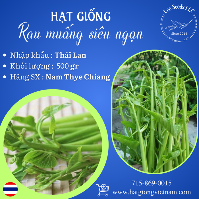 Rau muống Thái siêu ngọn túi 500 gram