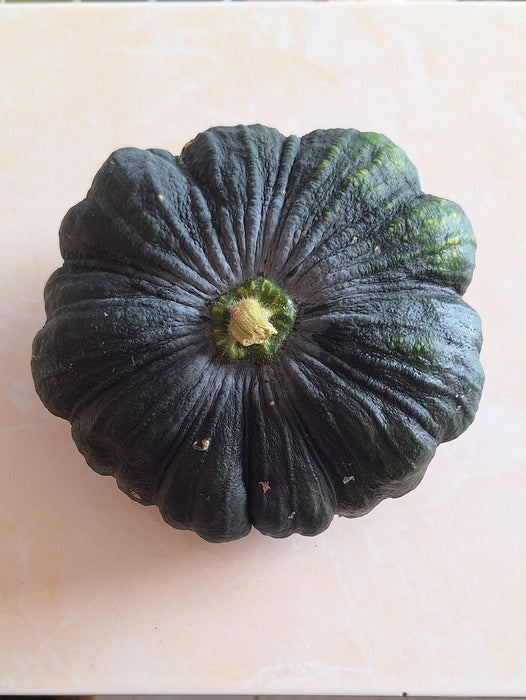 Hạt Giống Bí Đỏ Trơn Đen [ E-W Seeds - Thái Lan ]