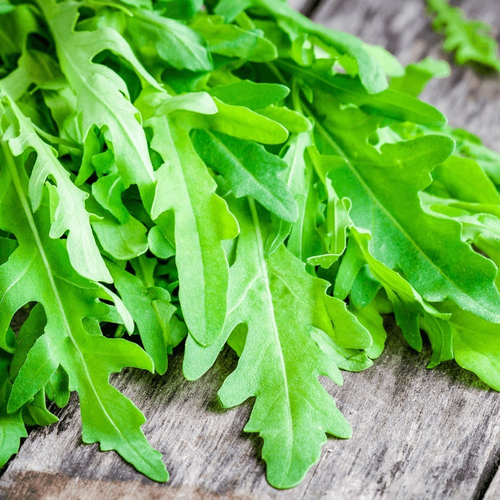 HẠT GIỐNG CẢI CAY WILD ROCKET [ AAA THÁI LAN ]