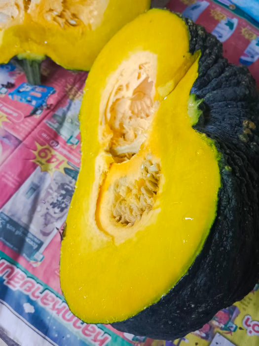 Hạt Giống Bí Đỏ Nhám Đen [ E-W Seeds - Thái Lan ]