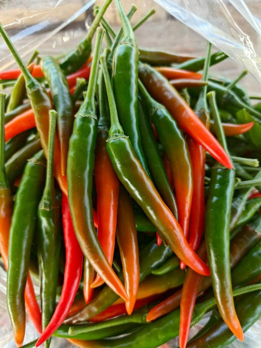 Hạt Giống Ớt Jinda [ Home Garden - Thái Lan ]