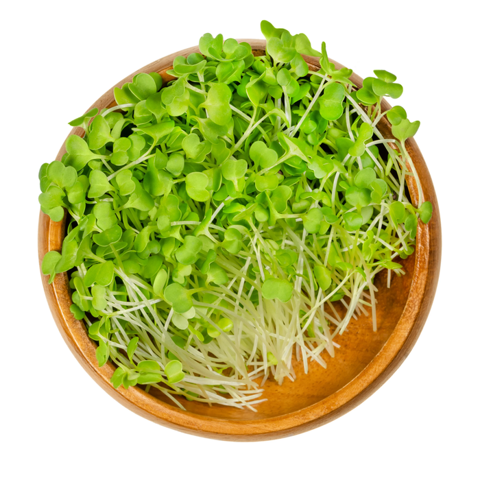 Rau mầm Bông Cải - Broccoli [ 200gr ]