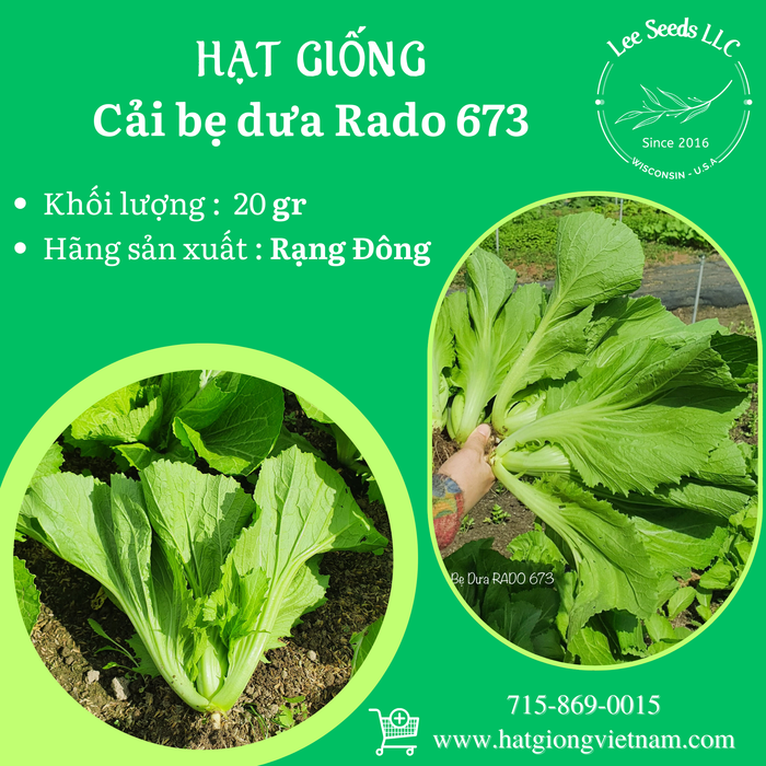 Cải Bẹ Dưa RADO 673