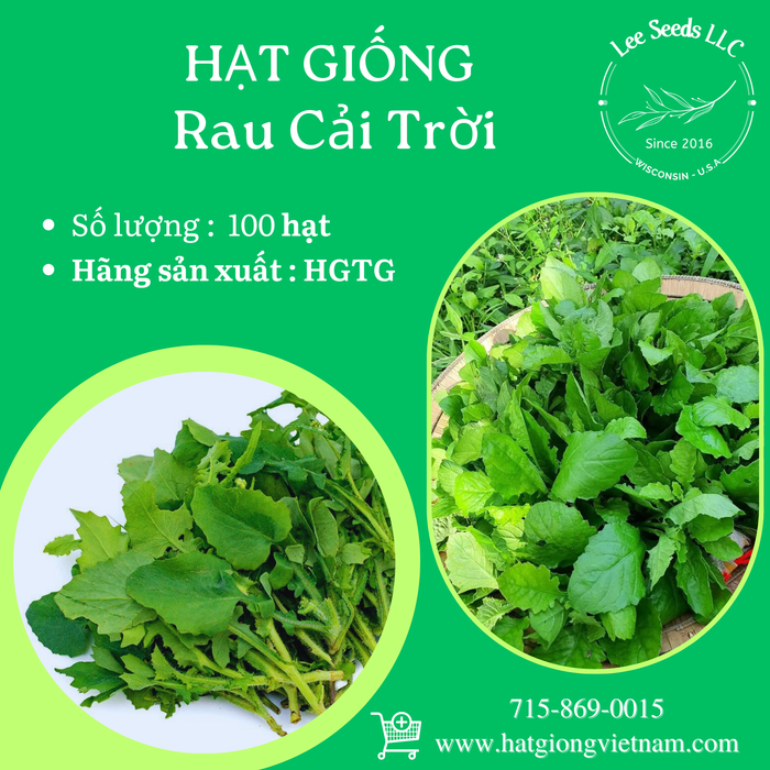 Cải Trời