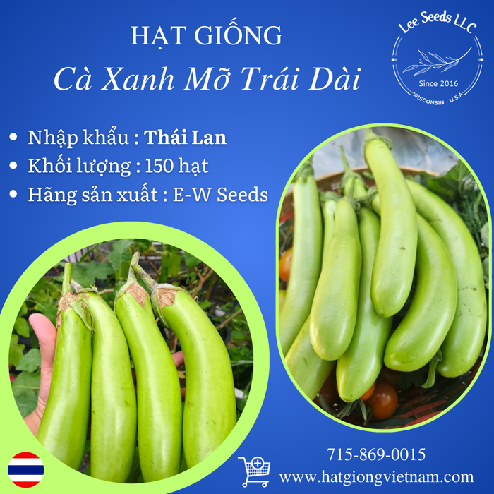 Hạt Giống Cà Xanh Mỡ Trái Dài [ E-W Seeds - Thái Lan ]