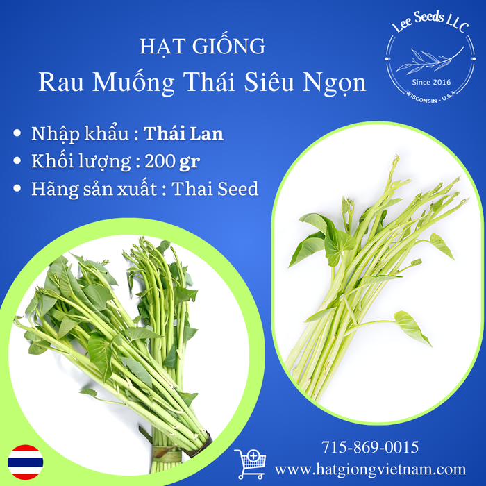 [ Mua 1 Tặng 1 ] Rau muống Thái Siêu Ngọn [ 200gr ]