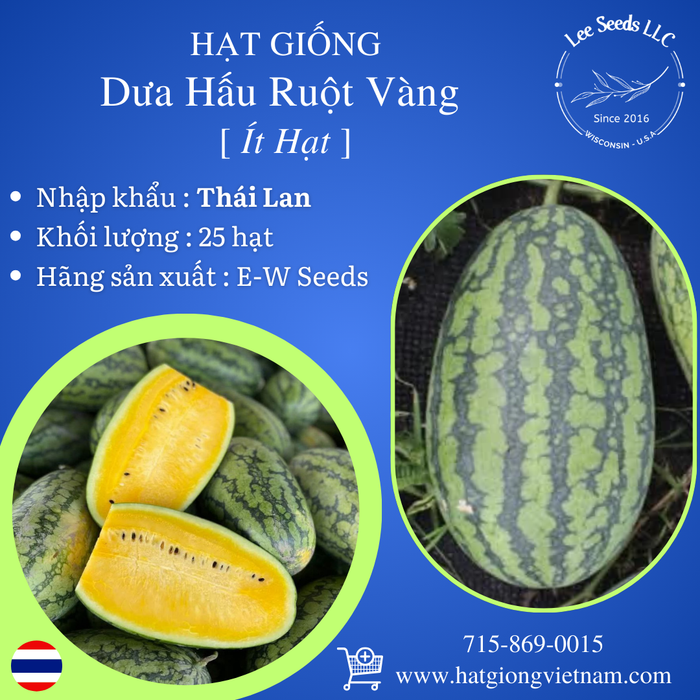 Hạt Giống Dưa Hấu Ruột Vàng Ít Hạt [ E-W Seeds - Thái Lan ]