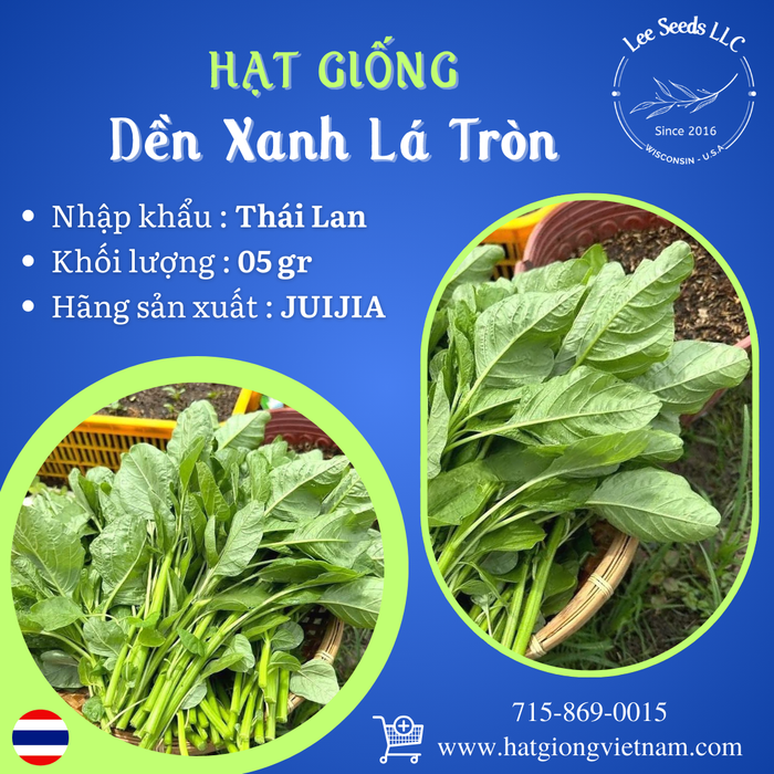 Hạt Giống Dền Xanh Lá Tròn [ JUIJIA - Thái Lan ]