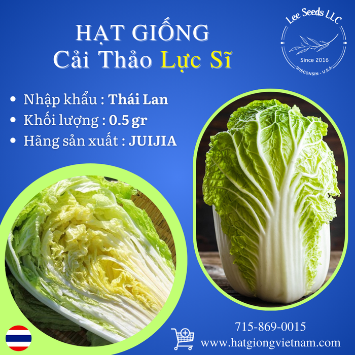 Hạt Giống Cải Thảo Lực Sĩ [ JUIJIA - Thái Lan ]