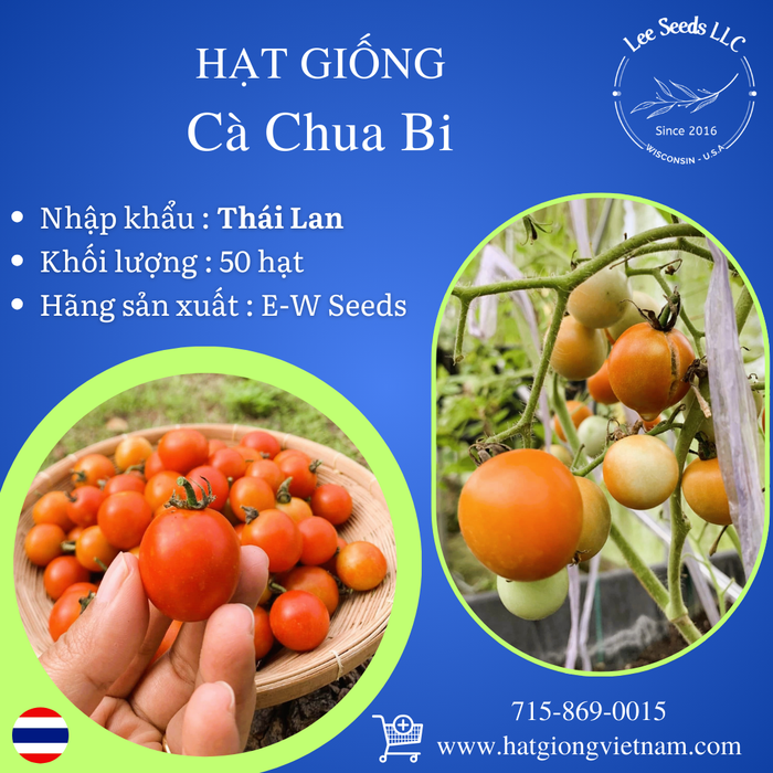 Hạt Giống Cà Chua Bi [ E-W Seeds - Thái Lan ]