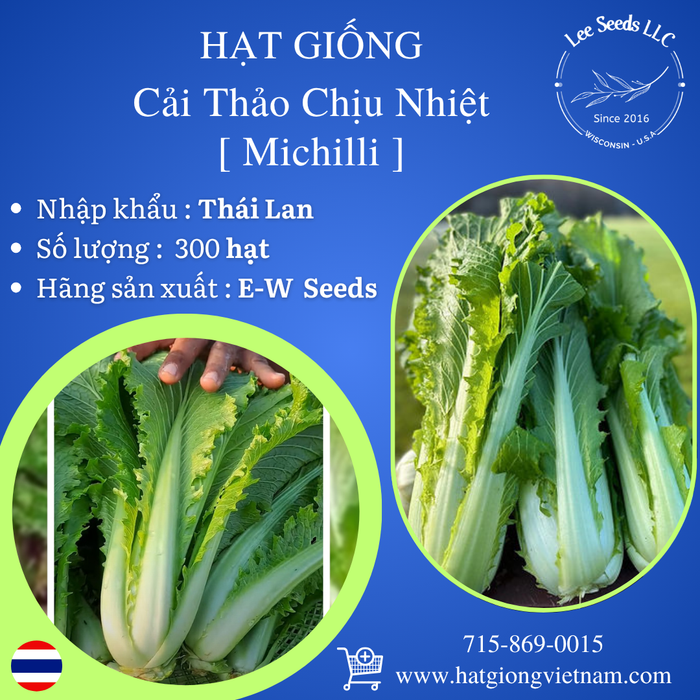 Cải Thảo Chịu Nhiệt [ Michilli - E-W Seeds - Thái Lan ]