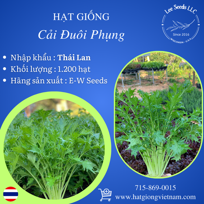 Hạt Giống Cải Đuôi Phụng [ E-W Seeds - Thái Lan ]