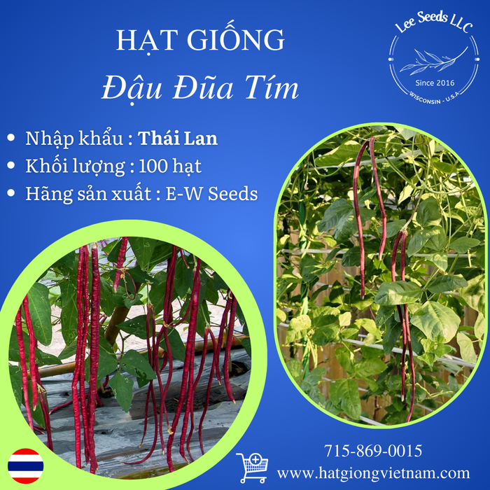 Hạt Giống Đậu Đũa Tím [ E-W Seeds - Thái Lan ]
