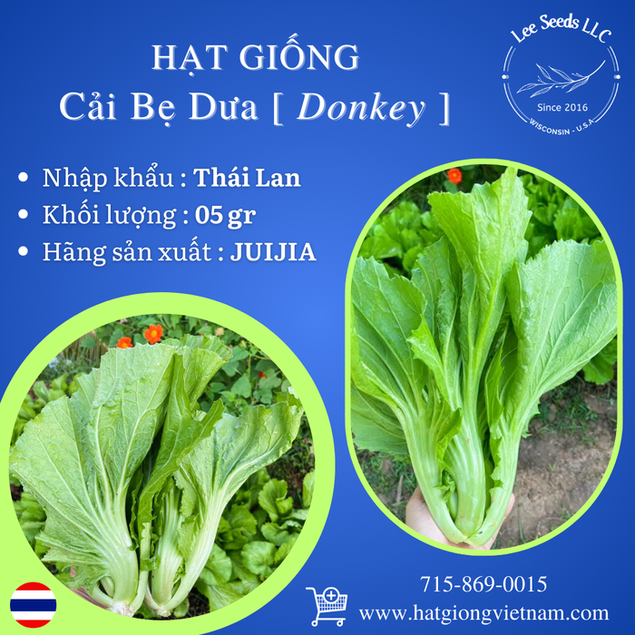 Hạt Giống Cải Bẹ Dưa - Donkey [ JUIJIA - Thái Lan ]