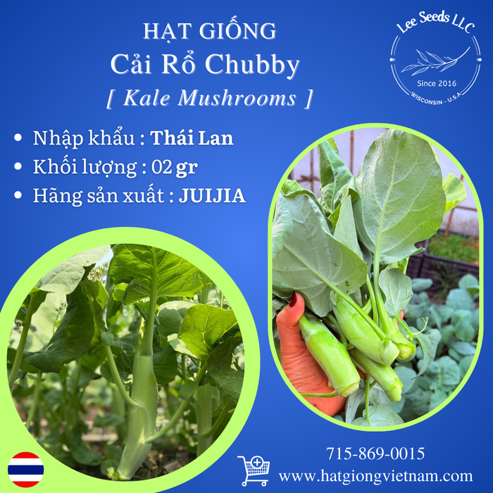 Hạt Giống Cải Rổ Chubby - Kale Mushrooms [ JUIJIA - Thái Lan ]