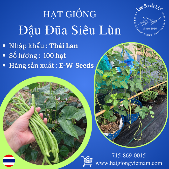 Đậu Đũa Siêu Lùn F1 [ E-W Seeds - Thái Lan ]