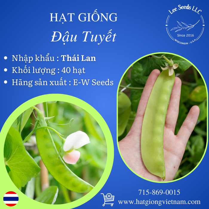 Hạt Giống Đậu Tuyết [ E-W Seeds - Thái Lan ]