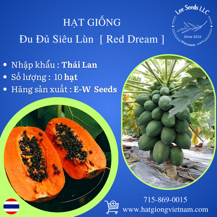 Đu Đủ Siêu Lùn F1 [ Red Dream - E-W Seeds - Thái Lan ]