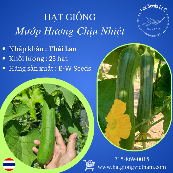 Hạt Giống Mướp Hương Chịu Nhiệt [ E-W Seeds - Thái Lan ]