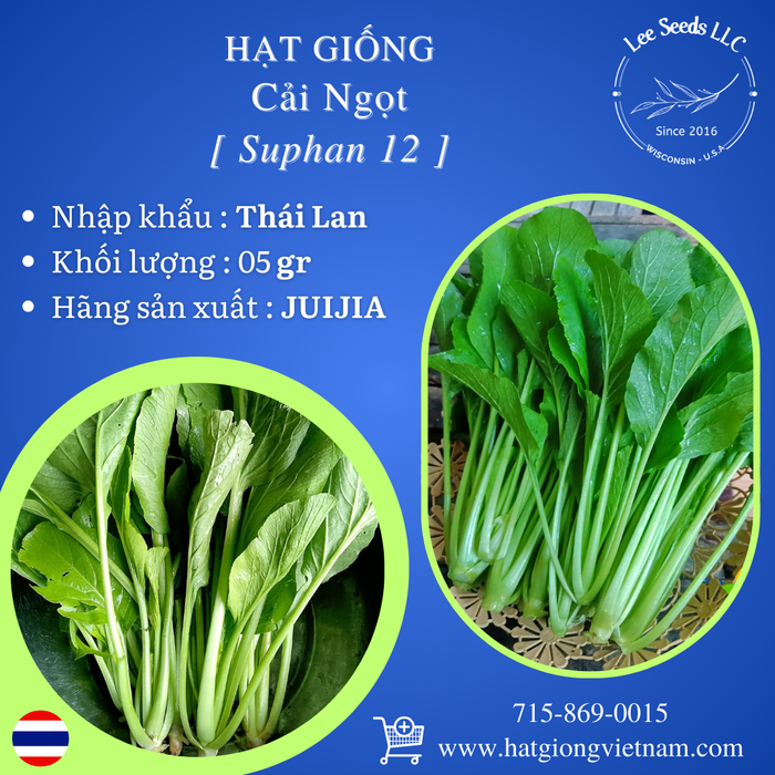 Hạt Giống Cải Ngọt - Suphan 12 [ JUIJIA - Thái Lan ]