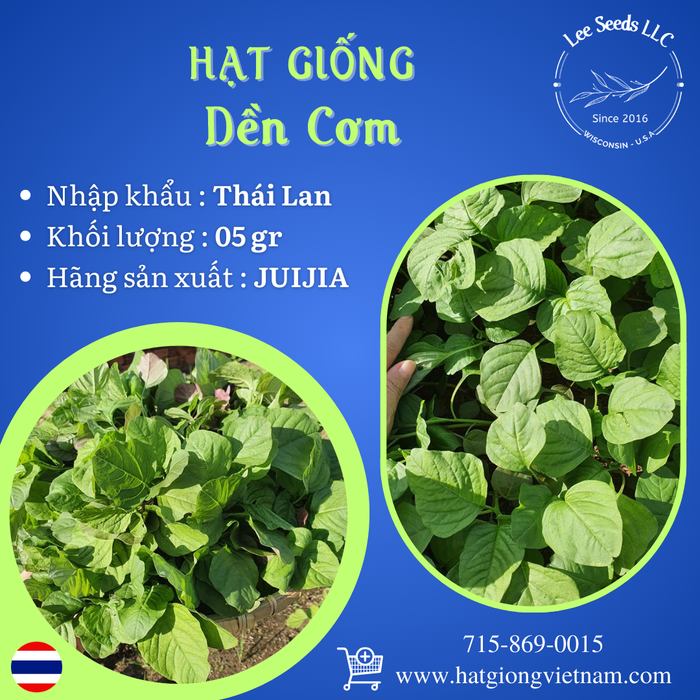 Hạt Giống Rau Dền Cơm [ JUIJIA - Thái Lan ]