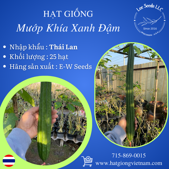 Hạt Giống Mướp Khía Xanh Đậm [ E-W Seeds - Thái Lan ]