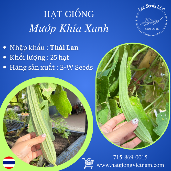 Hạt Giống Mướp Khía Xanh [ E-W Seeds - Thái Lan ]