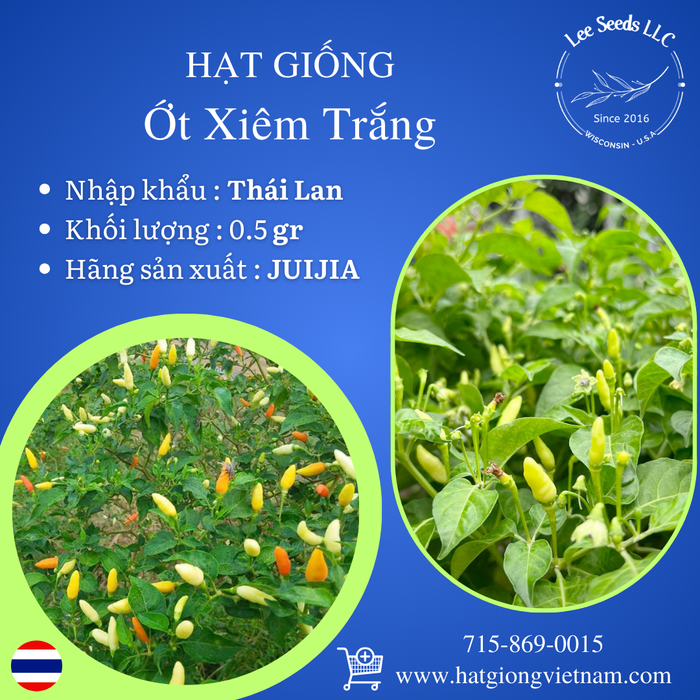 Ớt Xiêm Trắng Siêu Cay [ JUIJIA - Thái Lan ]