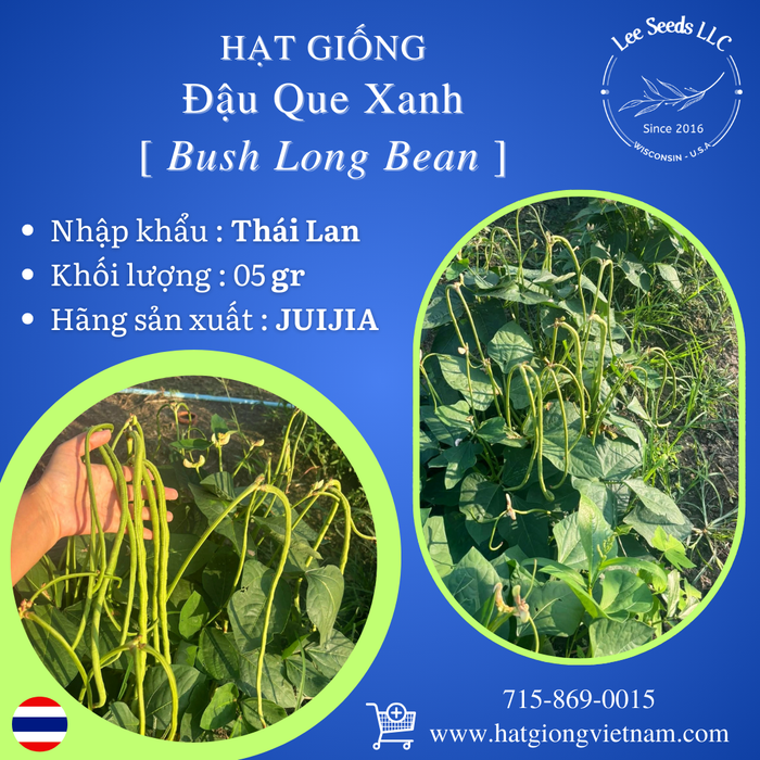 Hạt Giống Đậu Que Xanh - Bush Long Bean [ JUIJIA - Thái Lan ]