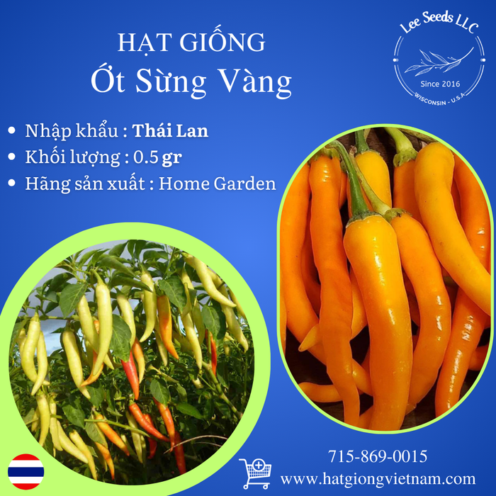 Ớt Sừng Vàng [ Home Garden - Thái Lan ]