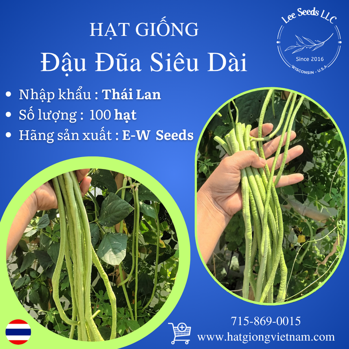 Đậu Đũa Siêu Dài F1 [ E-W Seeds - Thái Lan ]