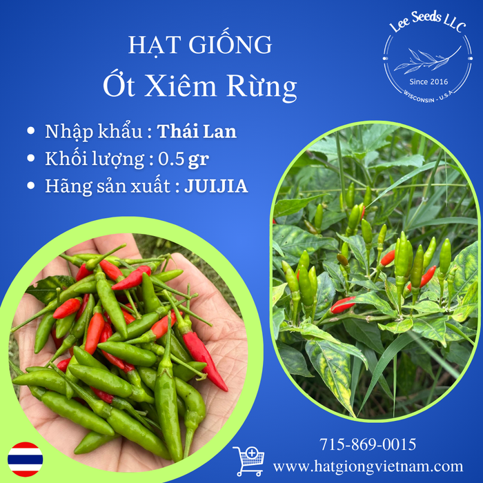 Ớt Xiêm Rừng [ JUIJIA - Thái Lan ]