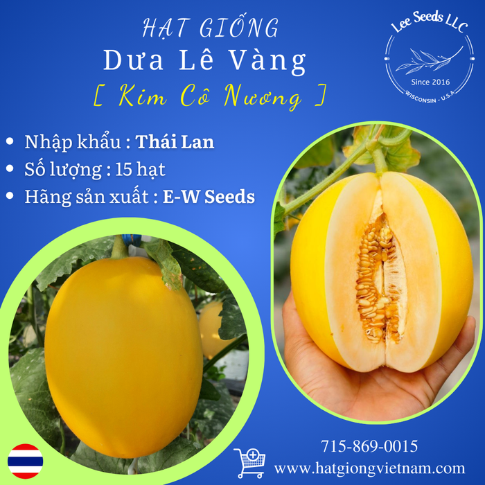 Hạt Giống Dưa Lê Vàng - Kim Cô Nương [ E-W Seeds - Thái Lan ]
