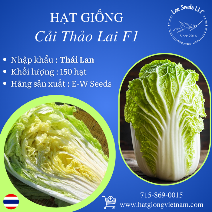 Hạt Giống Cải Thảo Lai F1 [ E-W Seeds - Thái Lan ]