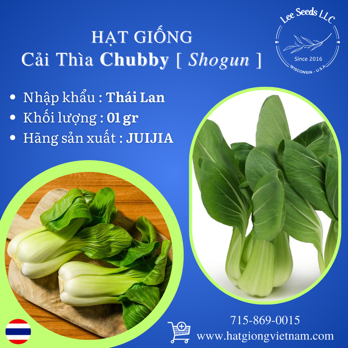Hạt Giống Cải Thìa Chubby - Shogun [ JUIJIA - Thái Lan ]