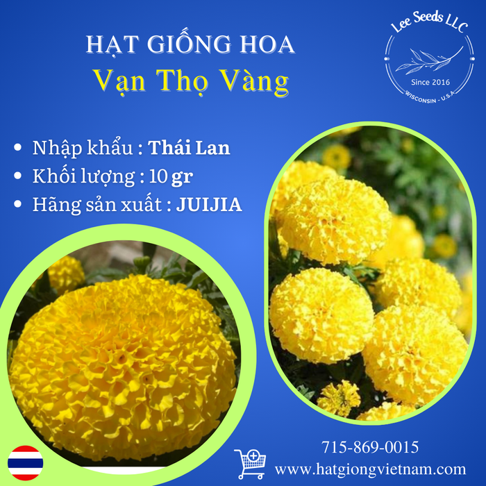 Hạt Giống Hoa Vạn Thọ Vàng [ JUIJIA - Thái Lan ]