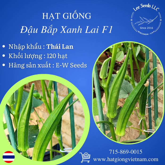 Hạt Giống Đậu Bắp Xanh Lai F1 [ E-W Seeds - Thái Lan ]
