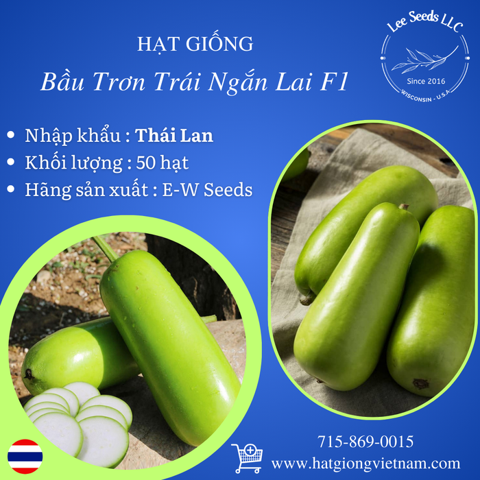 Hạt Giống Bầu Trơn Trái Ngắn Lai F1 [ E-W Seeds - Thái Lan ]
