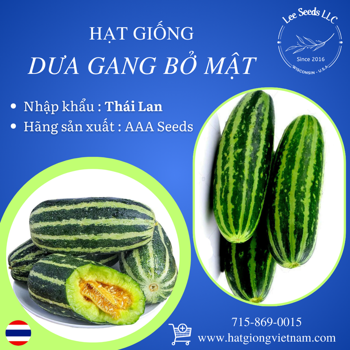 HẠT GIỐNG DƯA GANG BỞ MẬT  [ AAA - THÁI LAN ]