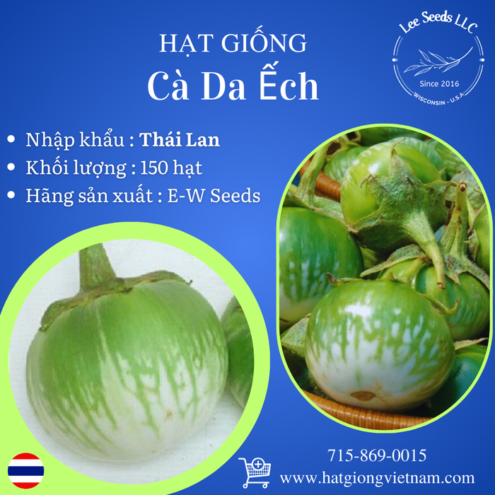 Hạt Giống Cà Da Ếch [ E-W Seeds - Thái Lan ]