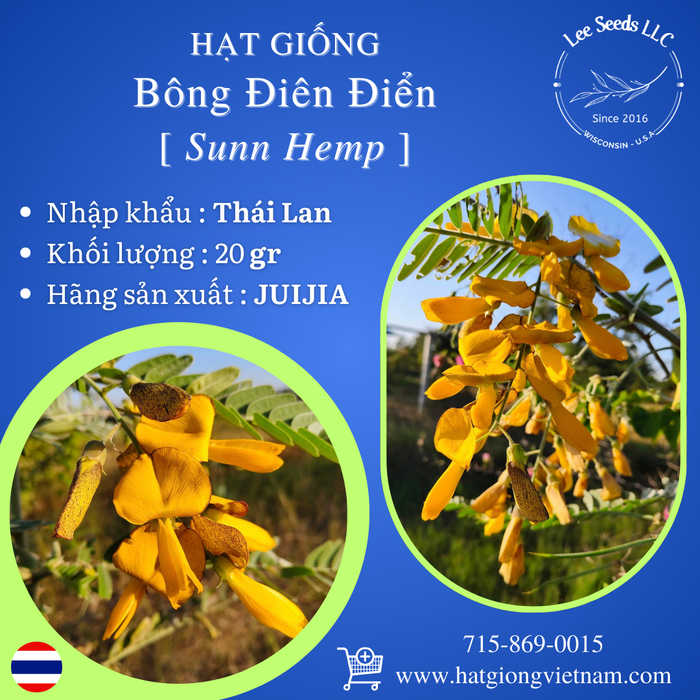 Hạt Giống Bông Điên Điển - Sunn Hemp [ JUIJIA - Thái Lan ]