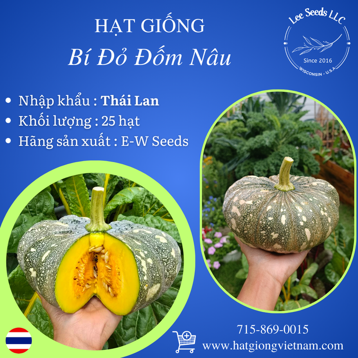Hạt Giống Bí Đỏ Đốm Nâu Lai F1 - 573 [ E-W Seeds - Thái Lan ]