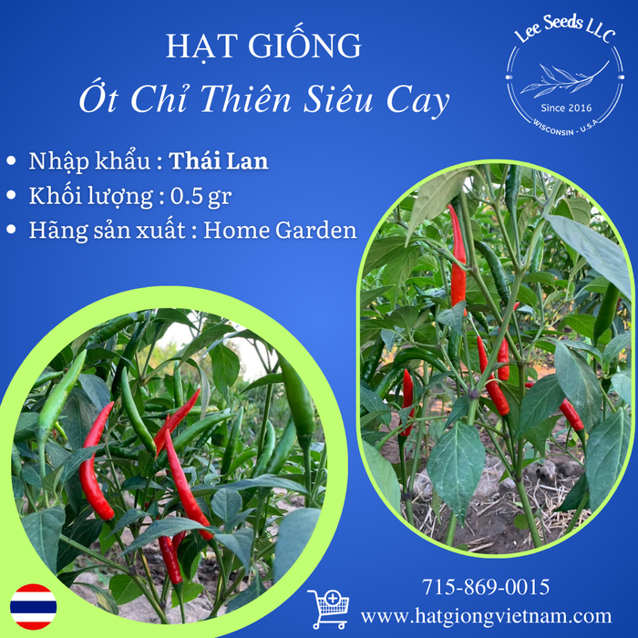 Hạt Giống Ớt Chỉ Thiên Siêu Cay [ Home Garden - Thái Lan ]