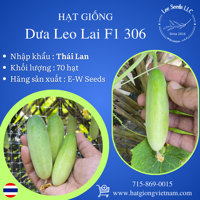 Hạt Giống Dưa Leo Lai F1 306 [ E-W Seeds - Thái Lan ]