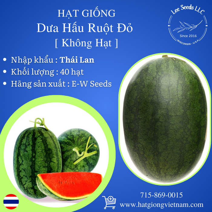 Hạt Giống Dưa Hấu Ruột Đỏ [ E-W Seeds - Thái Lan ]