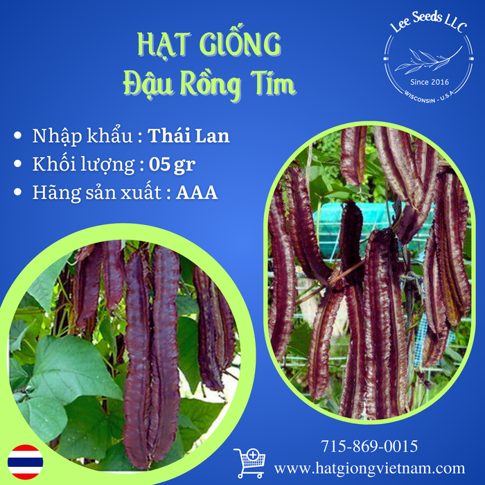 Đậu Rồng TÍM [ AAA - Thái Lan ]