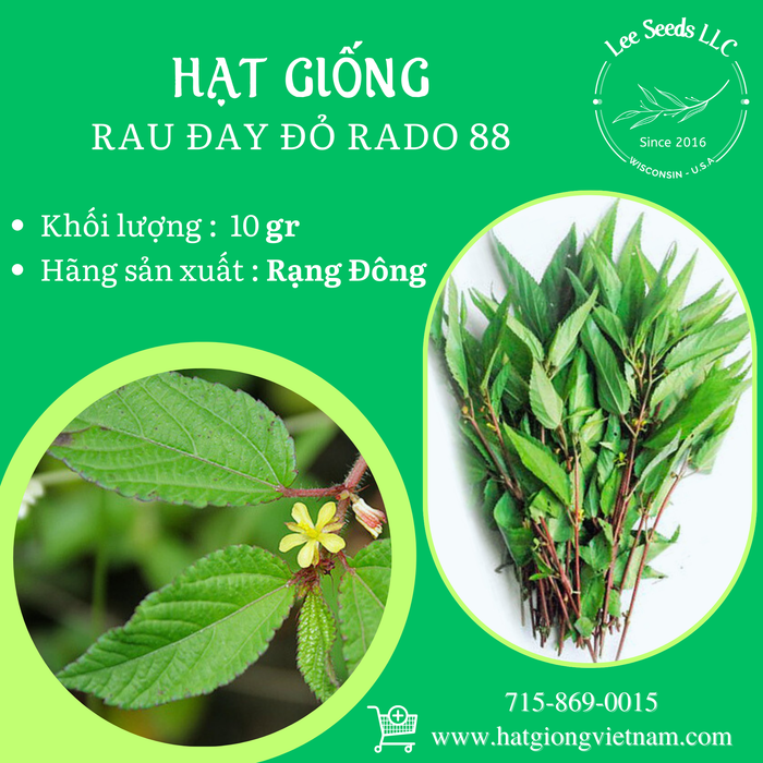 Rau Đay Đỏ RADO 88